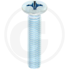 Linsensenkschr.din966,Vz,Ph3,M06X030,Ve1 Granit 485966 06X030 48V